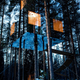 Illustration for article titled These incredible, reflective buildings look almost invisible